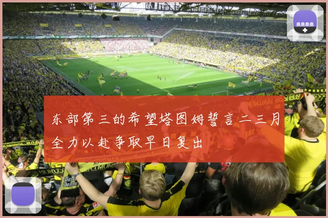 东部第三的希望塔图姆誓言二三月全力以赴争取早日复出