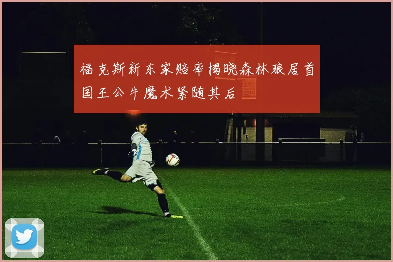 福克斯新东家赔率揭晓森林狼居首国王公牛魔术紧随其后