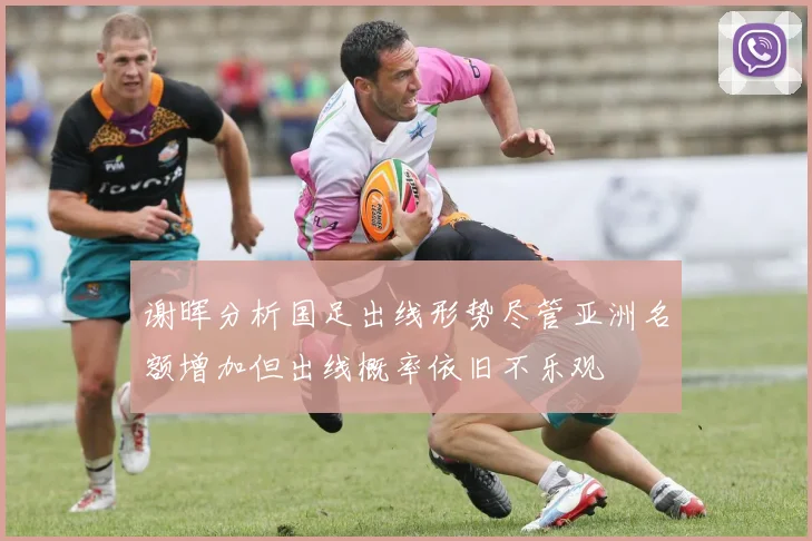 谢晖分析国足出线形势尽管亚洲名额增加但出线概率依旧不乐观