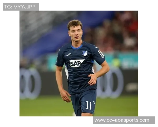 多特蒙德关注霍芬海姆前锋阿斯拉尼拜仁并不将其列为首要引援目标