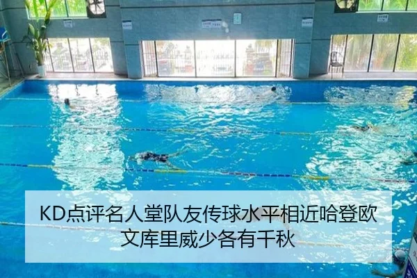 KD点评名人堂队友传球水平相近哈登欧文库里威少各有千秋(AOASPORTS)
